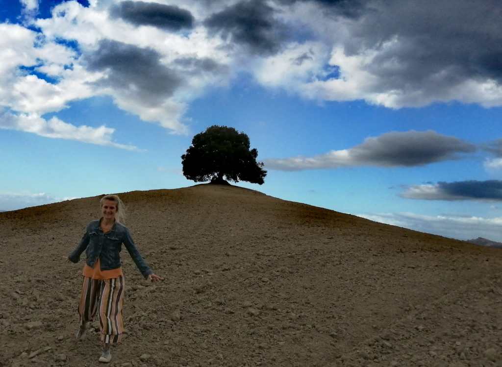 Baum der Wünsche, Buonconvento/Siena